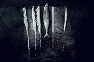 Kokain i vattnet: Den sanna historien om Den största fisken