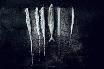 Kokain i vattnet: Den sanna historien om Den största fisken