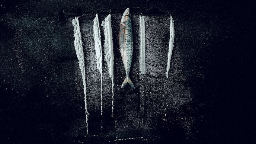 Kokain i vattnet: Den sanna historien om Den största fisken